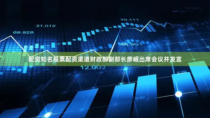 配资知名股票配资渠道财政部副部长廖岷出席会议并发言