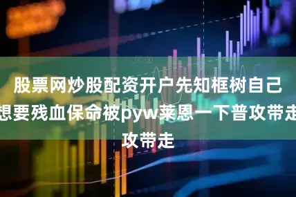 股票网炒股配资开户先知框树自己想要残血保命被pyw莱恩一下普攻带走