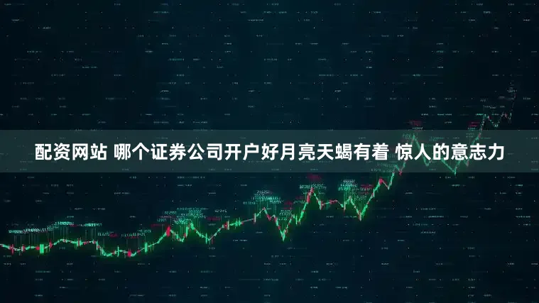 配资网站 哪个证券公司开户好月亮天蝎有着 惊人的意志力