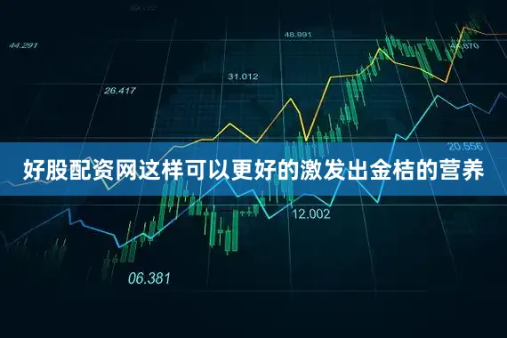 好股配资网这样可以更好的激发出金桔的营养